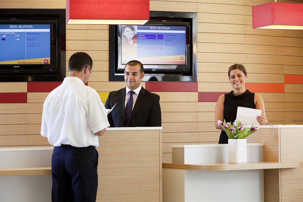 Ibis Bursa