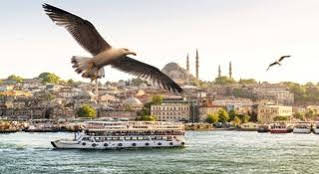 Suleymaniye Hotel
