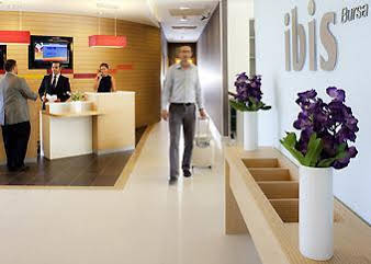 Ibis Bursa